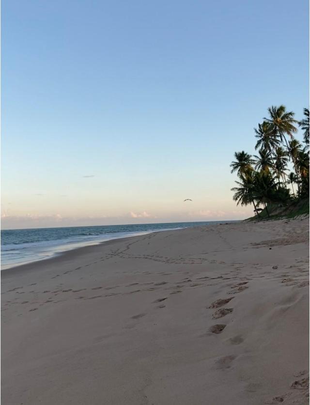 מאטה דה סאו ז'ואאו Praia Do Forte- Iberostar- Ap Luxuoso 3 Qts מראה חיצוני תמונה